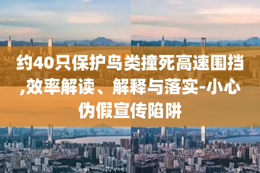 约40只保护鸟类撞死高速围挡,效率解读、解释与落实-小心伪假宣传陷阱