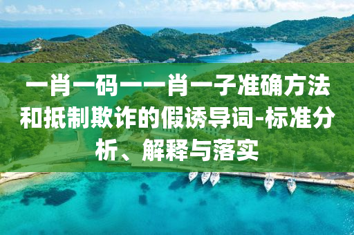 一肖一码一一肖一子准确方法和抵制欺诈的假诱导词-标准分析、解释与落实