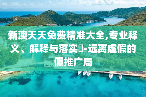 新澳天天免费精准大全,专业释义、解释与落实?-远离虚假的假推广局