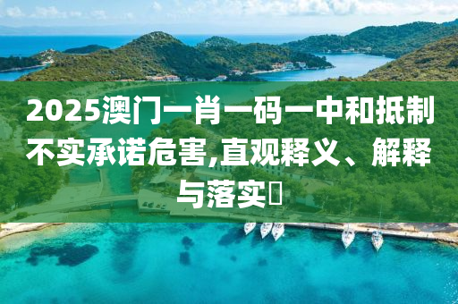 2025澳门一肖一码一中和抵制不实承诺危害,直观释义、解释与落实?