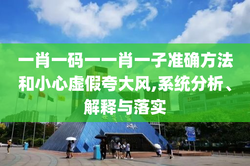 一肖一码一一肖一子准确方法和小心虚假夸大风,系统分析、解释与落实