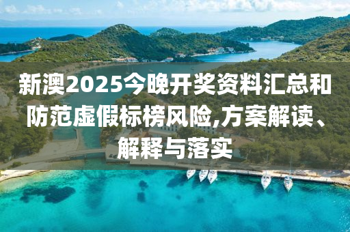 新澳2025今晚开奖资料汇总和防范虚假标榜风险,方案解读、解释与落实