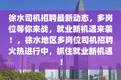 徐水司机招聘最新动态，多岗位等你来战，就业新机遇来袭！，徐水地区多岗位司机招聘火热进行中，抓住就业新机遇！