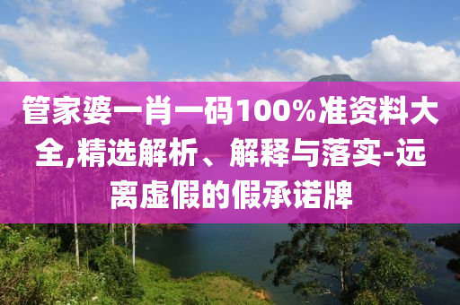 管家婆一肖一码100%准资料大全,精选解析、解释与落实-远离虚假的假承诺牌