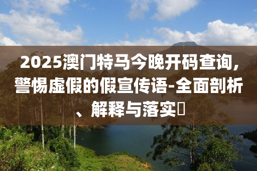 2025澳门特马今晚开码查询,警惕虚假的假宣传语-全面剖析、解释与落实?