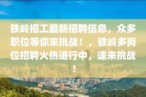 铁岭招工最新招聘信息，众多职位等你来挑战！，铁岭多岗位招聘火热进行中，速来挑战！