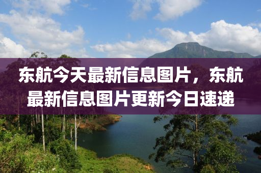东航今天最新信息图片，东航最新信息图片更新今日速递