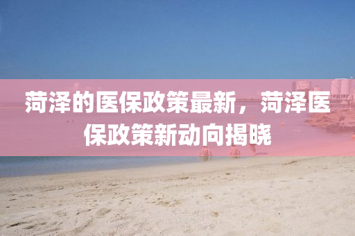 菏泽的医保政策最新，菏泽医保政策新动向揭晓