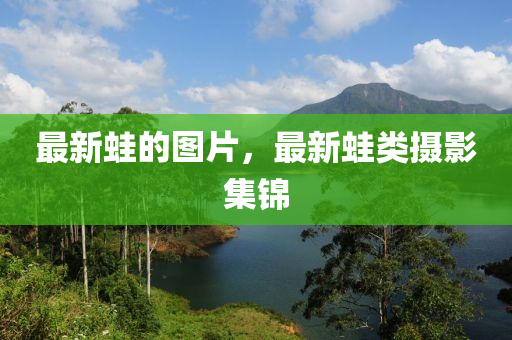 最新蛙的图片，最新蛙类摄影集锦