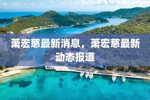 萧宏慈最新消息，萧宏慈最新动态报道