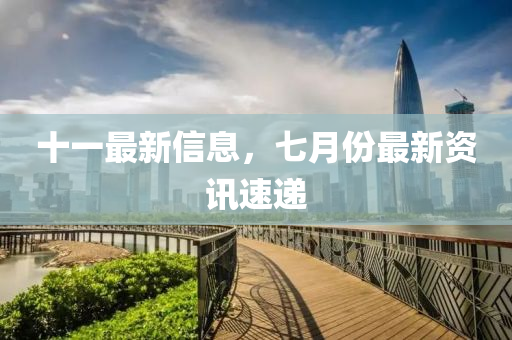十一最新信息，七月份最新资讯速递