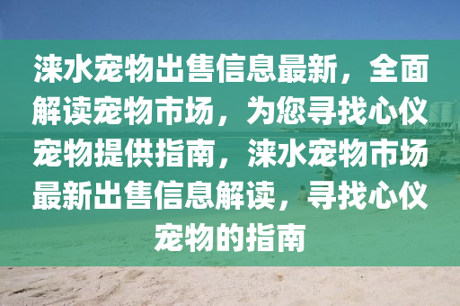 涞水宠物出售信息最新，全面解读宠物市场，为您寻找心仪宠物提供指南，涞水宠物市场最新出售信息解读，寻找心仪宠物的指南