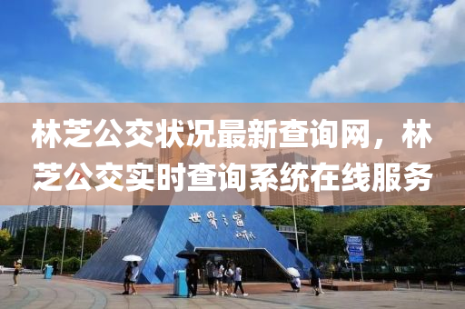 林芝公交状况最新查询网，林芝公交实时查询系统在线服务