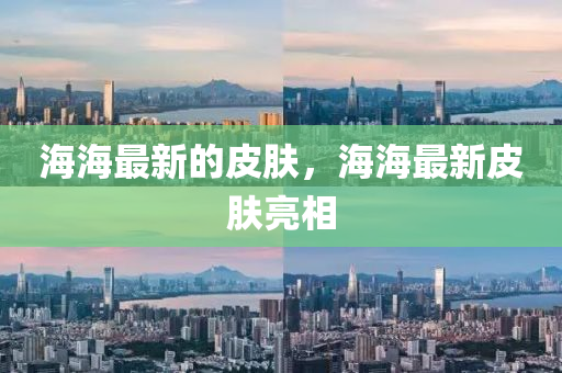 海海最新的皮肤，海海最新皮肤亮相