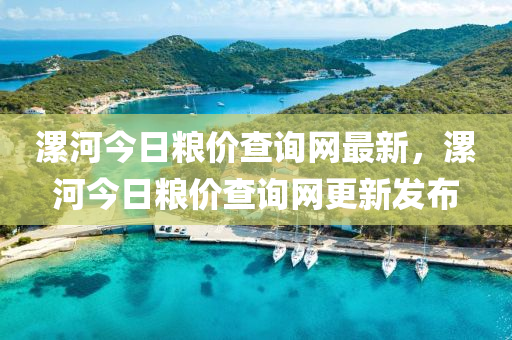 漯河今日粮价查询网最新，漯河今日粮价查询网更新发布