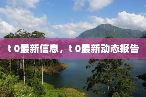 t 0最新信息，t 0最新动态报告