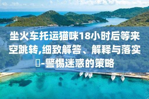 坐火车托运猫咪18小时后等来空跳转,细致解答、解释与落实?-警惕迷惑的策略