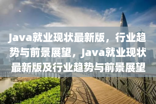 Java就业现状最新版，行业趋势与前景展望，Java就业现状最新版及行业趋势与前景展望