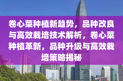 卷心菜种植新趋势，品种改良与高效栽培技术解析，卷心菜种植革新，品种升级与高效栽培策略揭秘