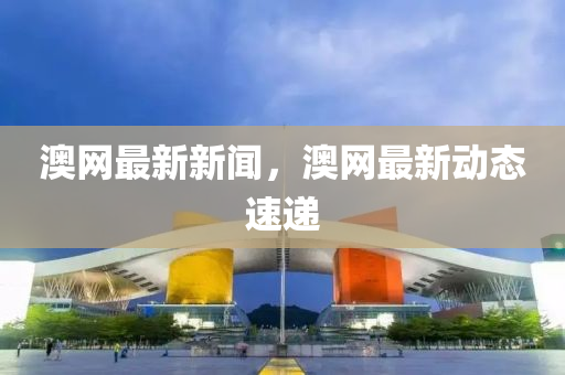 澳网最新新闻，澳网最新动态速递