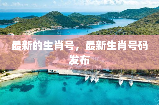 最新的生肖号，最新生肖号码发布