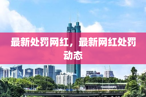 最新处罚网红，最新网红处罚动态