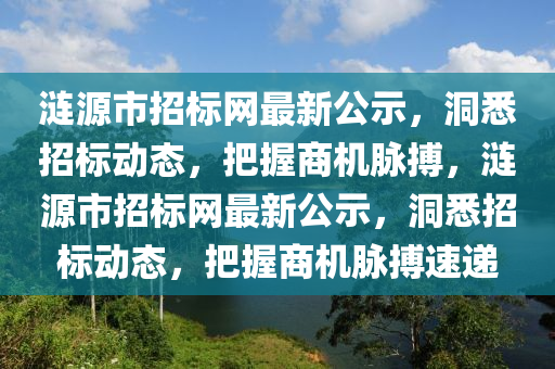 涟源市招标网最新公示，洞悉招标动态，把握商机脉搏，涟源市招标网最新公示，洞悉招标动态，把握商机脉搏速递