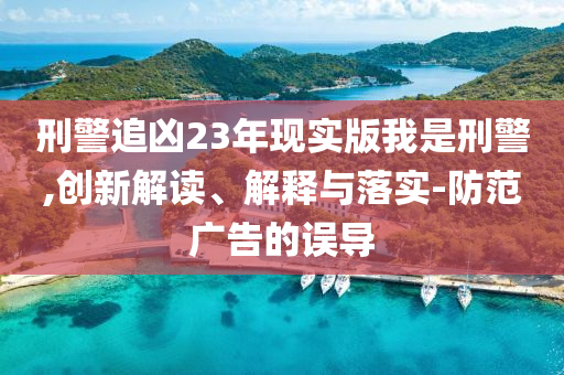 刑警追凶23年现实版我是刑警,创新解读、解释与落实-防范广告的误导