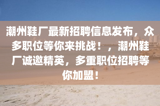 潮州鞋厂最新招聘信息发布，众多职位等你来挑战！，潮州鞋厂诚邀精英，多重职位招聘等你加盟！