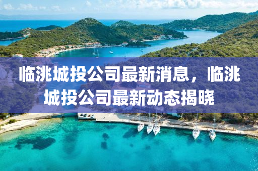 临洮城投公司最新消息，临洮城投公司最新动态揭晓