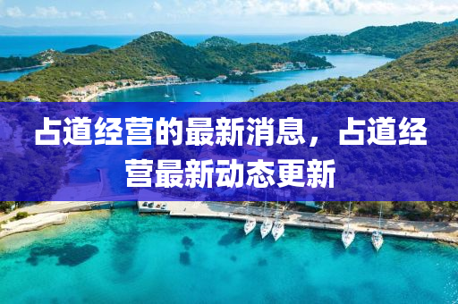 占道经营的最新消息，占道经营最新动态更新