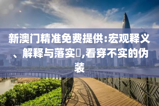 新澳门精准免费提供:宏观释义、解释与落实?,看穿不实的伪装