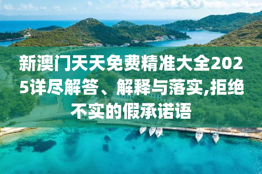 新澳门天天免费精准大全2025详尽解答、解释与落实,拒绝不实的假承诺语