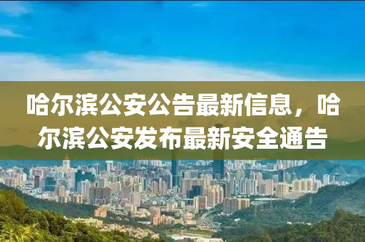 哈尔滨公安公告最新信息，哈尔滨公安发布最新安全通告