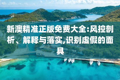 新澳精准正版免费大全:风控剖析、解释与落实,识别虚假的面具