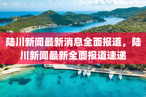 陆川新闻最新消息全面报道，陆川新闻最新全面报道速递
