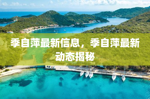 季自萍最新信息，季自萍最新动态揭秘