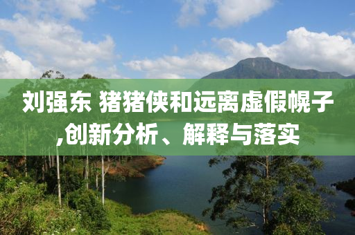 刘强东 猪猪侠和远离虚假幌子,创新分析、解释与落实
