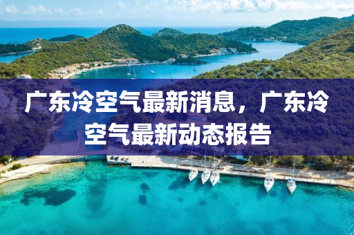 广东冷空气最新消息，广东冷空气最新动态报告