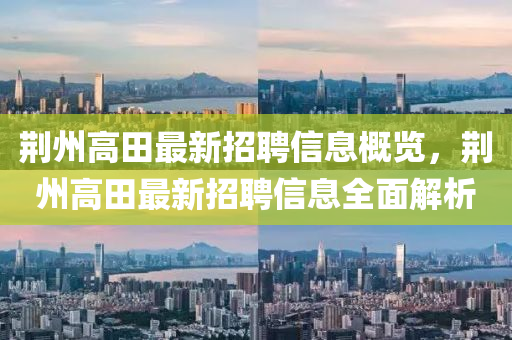 荆州高田最新招聘信息概览，荆州高田最新招聘信息全面解析