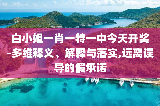 白小姐一肖一特一中今天开奖-多维释义、解释与落实,远离误导的假承诺