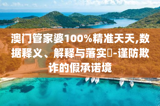 澳门管家婆100%精准天天,数据释义、解释与落实?-谨防欺诈的假承诺境